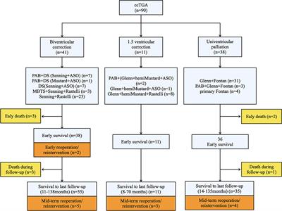 Congenitally Corrected Transposition of the Great Arteries: Mid-term Outcomes of Different Surgical Strategies